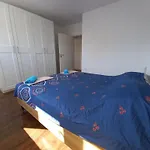 Apartment Amor Vir Апартаменты